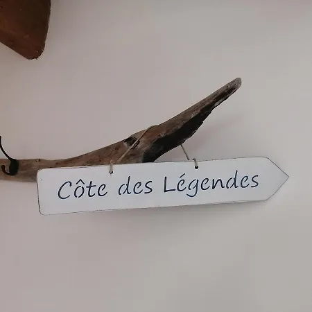 Des Agapanthes *